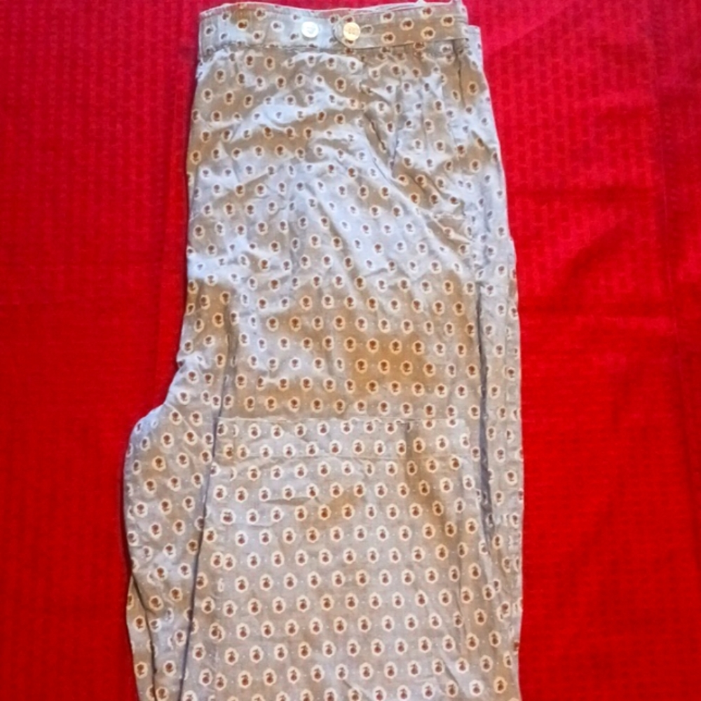Vintage Carrell Reed size 14 light blue Jean colore slacks w/red flowers pattern